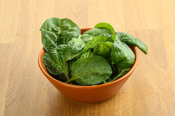 Fresh green spinach leaves in the bowl