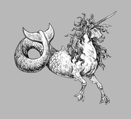 Mystical seahorse unicorn. Underwater creature. Fantasy drawing. © Lunstream