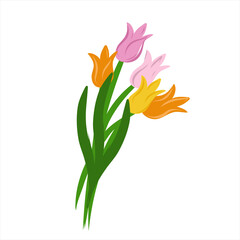 Tulips. Bouquet of flowers . Spring flowers. Happy Women's Day. Multicolored tulips. Vector flat style illustration.