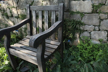 wooden bench in the garden