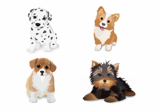 Cartoon puppies. Lovely puppies with a cute face