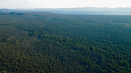 グランドキャニオン航空写真　サウスリム付近　大森林