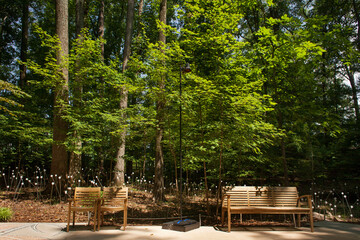 Storza Woods in Piedmon Park, Atlanta
