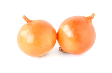 fresh onions isolated on a white background