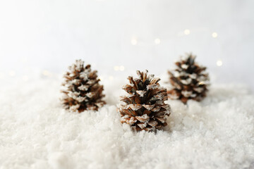 Christmas greeting card with pine cones and lights on snow background.