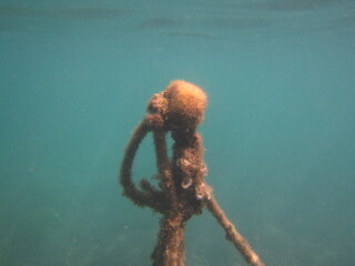 Boya marina flotando