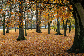 ELGIN, MORAY, SCOTLAND - 15 NOVEMBER 2021: this is a scene with Autumn Colours in Cooper Park,...