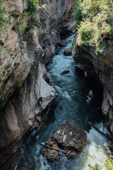 gorge with a mountain river in a green forest