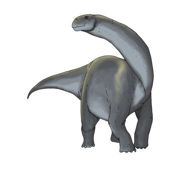 Realistic illustration of a dinosaur of the cetiosaurus species