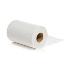 Kitchen or toilet paper