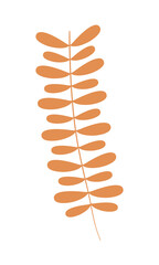 orange leaves branch