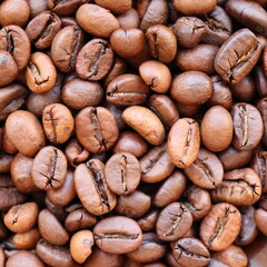 Coffee beans texture square background. Top view.