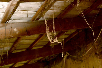 Old dusty spider web an old dirty attic.