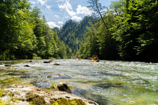 Nature