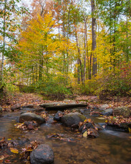 Naklejka na ściany i meble Long exposure creek in autumn forest