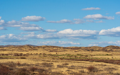 Golden steppes stretching to the horizon under a clear blue sky, highlighting the vast and open terrain of eastern Kazakhstan.
