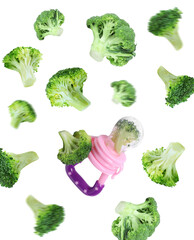 Nibbler and  green broccoli falling on white background. Baby feeder