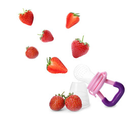 Empty nibbler and fresh ripe strawberries falling on white background. Baby feeder