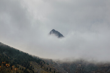 Darkness mountain background. Dramatic fog among giant rocky mountains. Ghostly atmospheric view to big cliff. Low clouds and beautiful rockies. Minimalist scenery mysterious place.