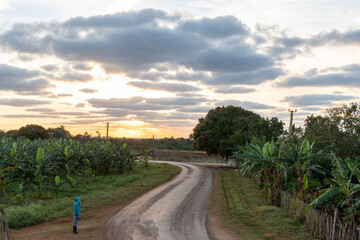 Fototapeta premium Rural road at sunset through Cuban countryside with dramatic sky