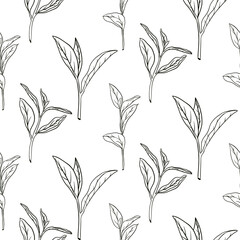 Hand drawn tea seamless pattern in graphic style, vector illustration.