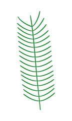 tropical leaf icon