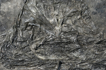 black and white texture of a stone