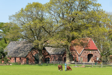 A rural landscape in Aalten, Netherlands, with a traditional farmhouse surrounded by trees, showcasing the serene countryside during spring.
