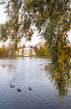 The Hall on the Island pavilion, Catherine Park, Pushkin (Tsarskoye Selo), near St. Petersburg