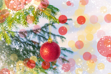 A branch of a fir tree with a red Christmas ball in the snow on a bokeh New Year and Christmas background. Blank for a holiday card with a copy of the space