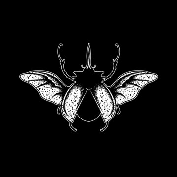 Vector insect hand drawing style illustration.