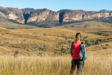 Expansive grasslands under a clear sky in Madagascar, highlighting the vast open spaces and natural beauty of the island