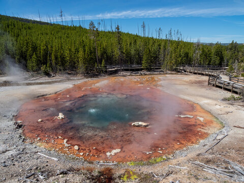 Echinus Spring in the Norris Geyser Basin, Yellowstone National Park, UNESCO World Heritage Site