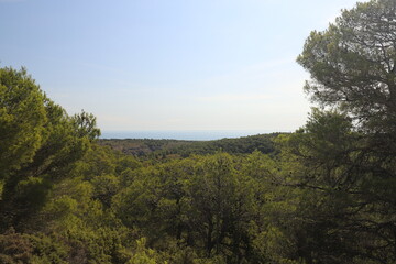 Fototapeta na wymiar Nice view over the treetops towards the sea. Photo was taken in the regional nature park massif de la clape in the south of France.
