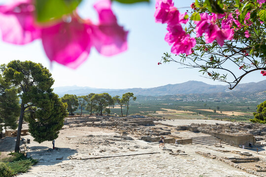 Flowers frame the old ruins of the Minoan Palace of Phaistos, Bronze Age archaeological site in Crete island, Greek Islands