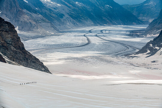 Hikers on the Aletsch Glacier from the Jungfraujoch, Bernese Alps, Switzerland