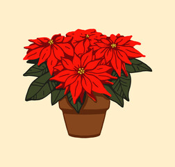 Poinsettia Plant in pot Christmas star Red and green leaves of winter plant Traditional symbol of Christmas and New year Noche Buena flower Vector illustration Euphorbia pulcherrima invitation cards