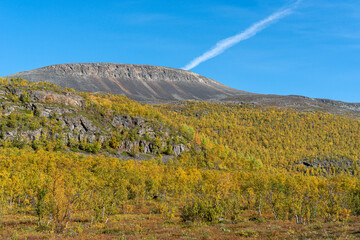 Golden autumn forest with rugged cliffs under a clear blue sky near Kebnekaise, Sweden.