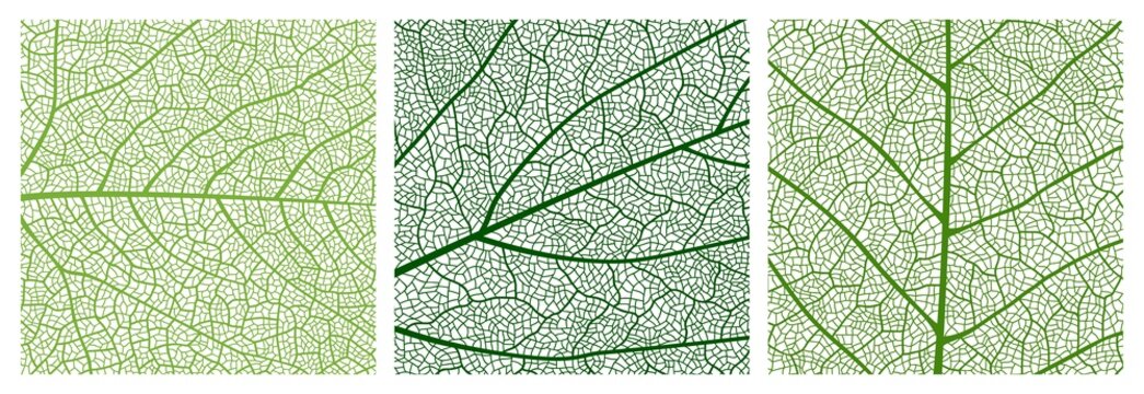 Close up green leaf texture pattern, leaf pattern background with veins and cells. Vector venation structure of tree plant foliage, abstract mosaic backdrop of birch or maple leaf surface