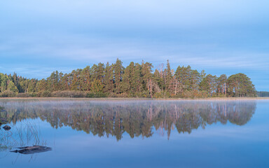 Swedish Forest Lake Mirror. A serene morning in Sweden, with a dense forest reflecting perfectly on the still waters of a secluded lake.