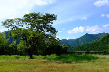 Obraz premium 田舎