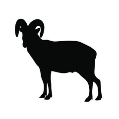 Ram silhouette. Simple vector illustration.
