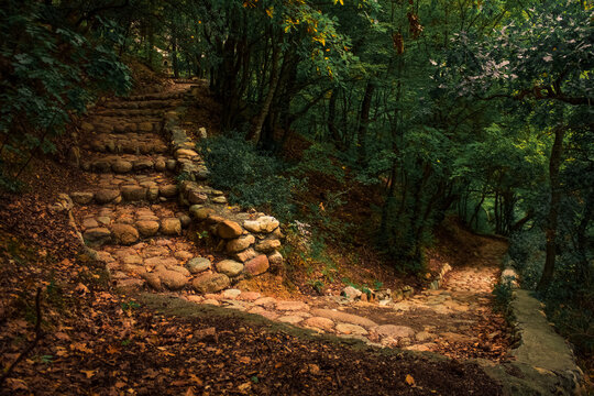 ancient foot path way in wilderness forest, stone track and stairs builded by people in old time