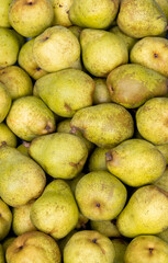 pear fruit background green dutch greenhouse street