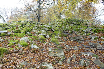 Impressive Otzenhausen Celtic hill fort (ringwall, Hunnenring) covered by colourful autumns leaves,...