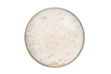Beer foam isolated on white background. View from above.
