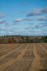 A rural roadside at harvest time with puffy white clouds.  Shot in the farm country of the Ottawa Valley (Ontario, Canada) in early November.