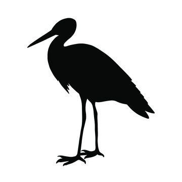 Stork silhouette on a white background. Vector illustration.