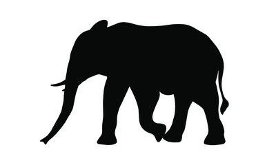 Fototapeta premium Elephant silhouette on a white background. Vector illustration.