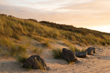 Sunset at the dunes covered with marram grass.